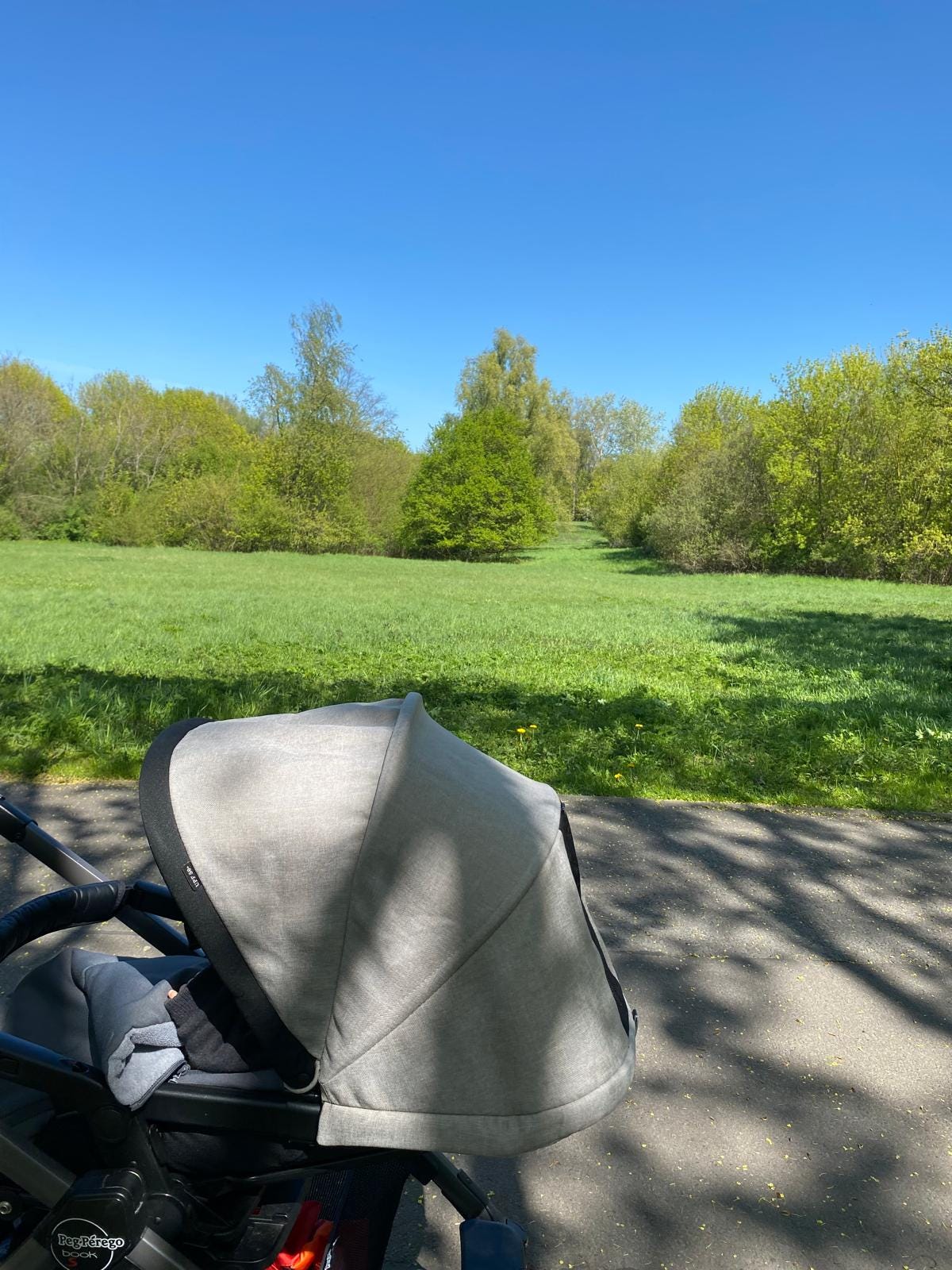 Ein Kinderwagen von der Seite fotografiert, im Hintergrund eine Wiese, Bäume und blauer Himmel