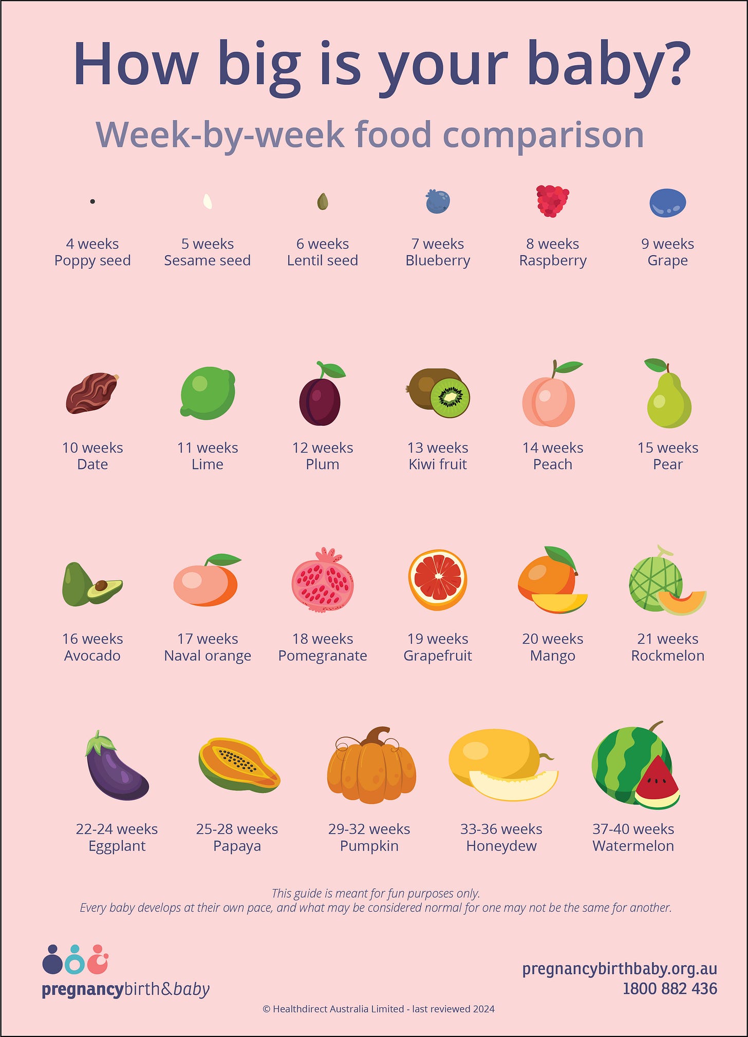 How big is your baby? | Pregnancy Birth and Baby