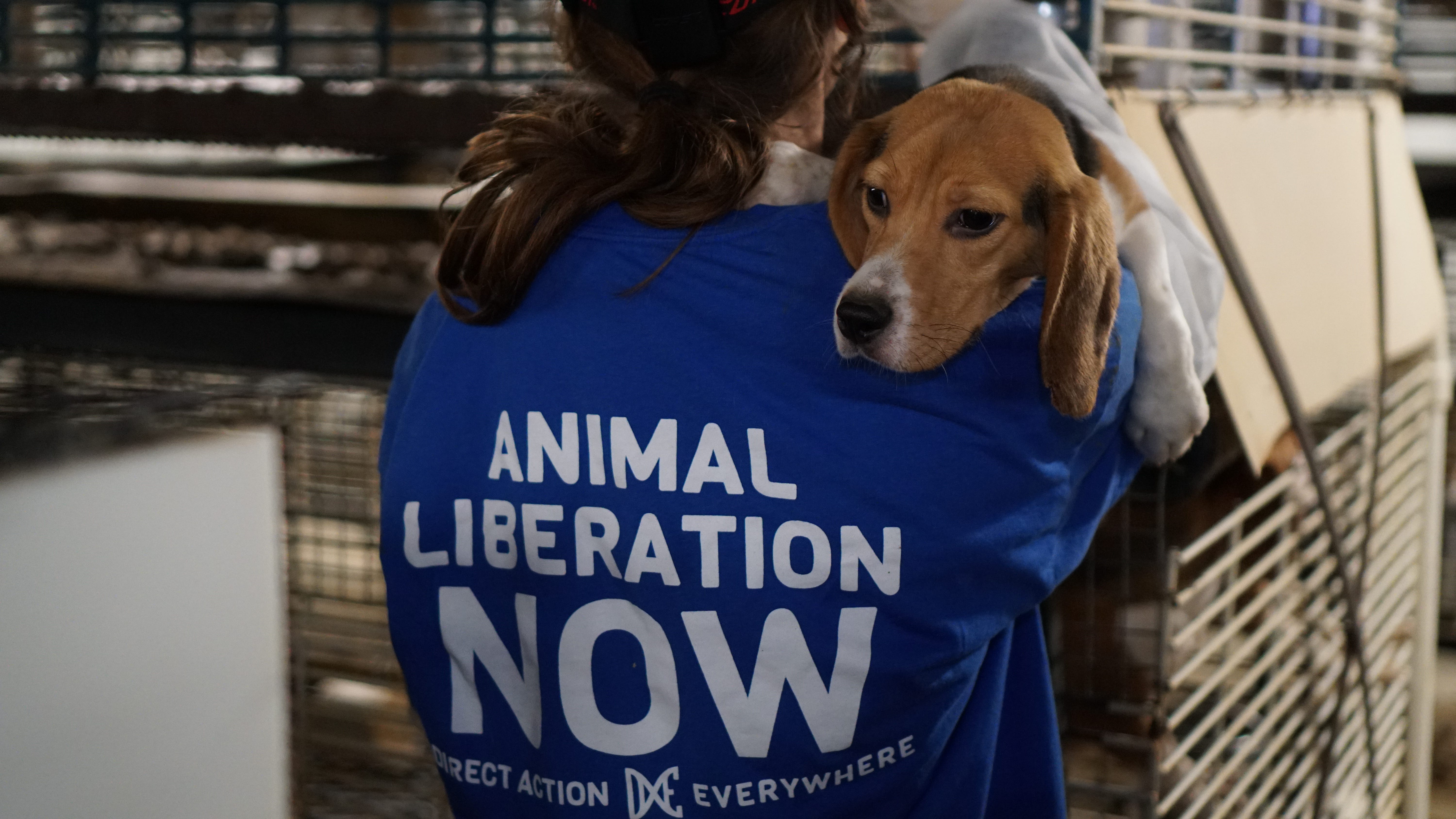 How We Achieved the Greatest Turnaround in Animal Rights History