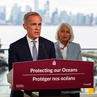 Carney’s ‘Buy Canadian’ push hits snag as $33B LNG project turns to Chinese steel