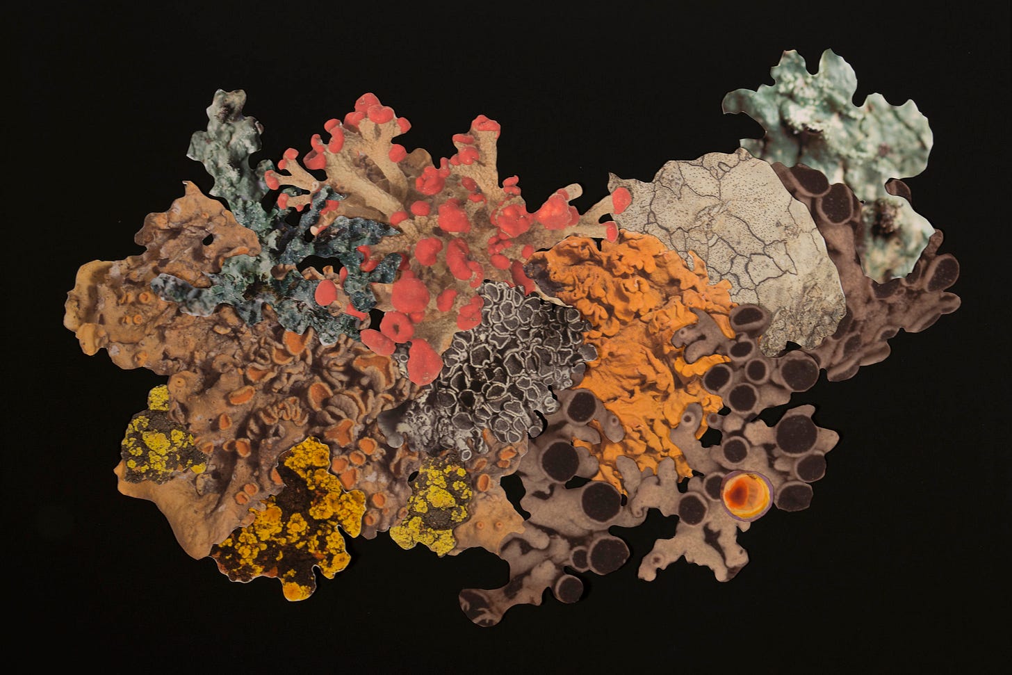 In Between — Sarah Hearn