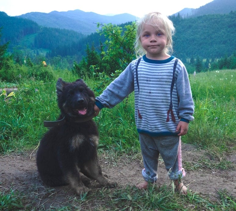 girl wearing blue striped shirt beside black dog girl wearing blue striped shirt beside black dog