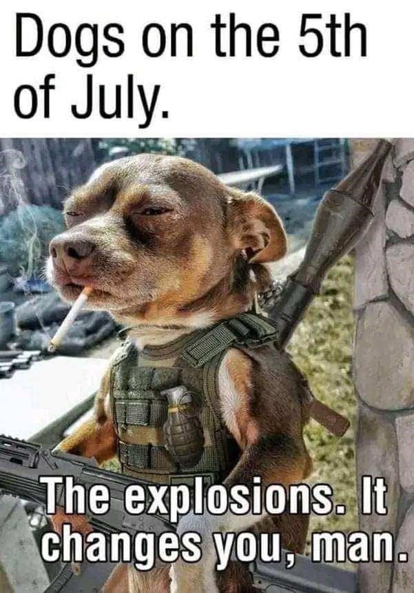 The Best 4th of July Memes 2023 - The Memedroid Blog