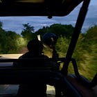 The Elephant in the Headlights