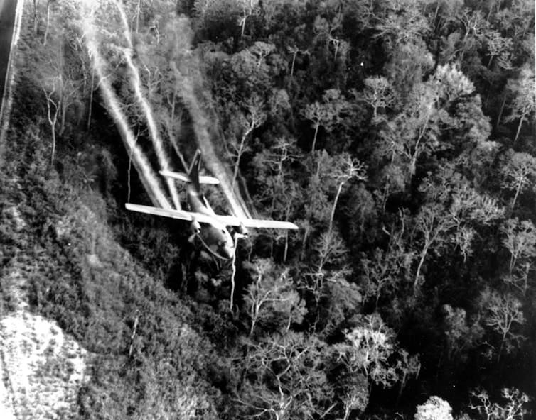 A plane flies over jungle, with streams of defoliant flowing out behind it. A plane flies over jungle, with streams of defoliant flowing out behind it.