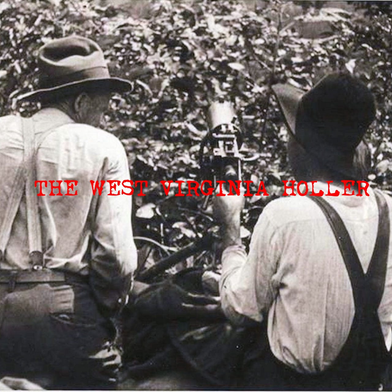 The West Virginia Holler