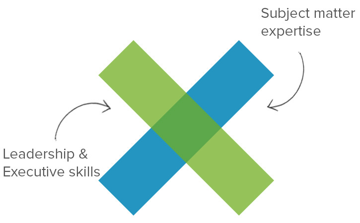 How to Build X-Shaped Project Management Skills How to Build X-Shaped Project Management Skills