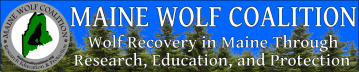 Field Notes - Maine Wolf Coalition
