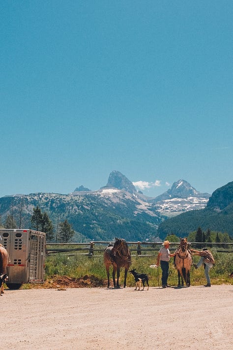 Fuji photographs of life in Montana by Tyler Knott Gregson
