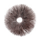 Mycology Minute
