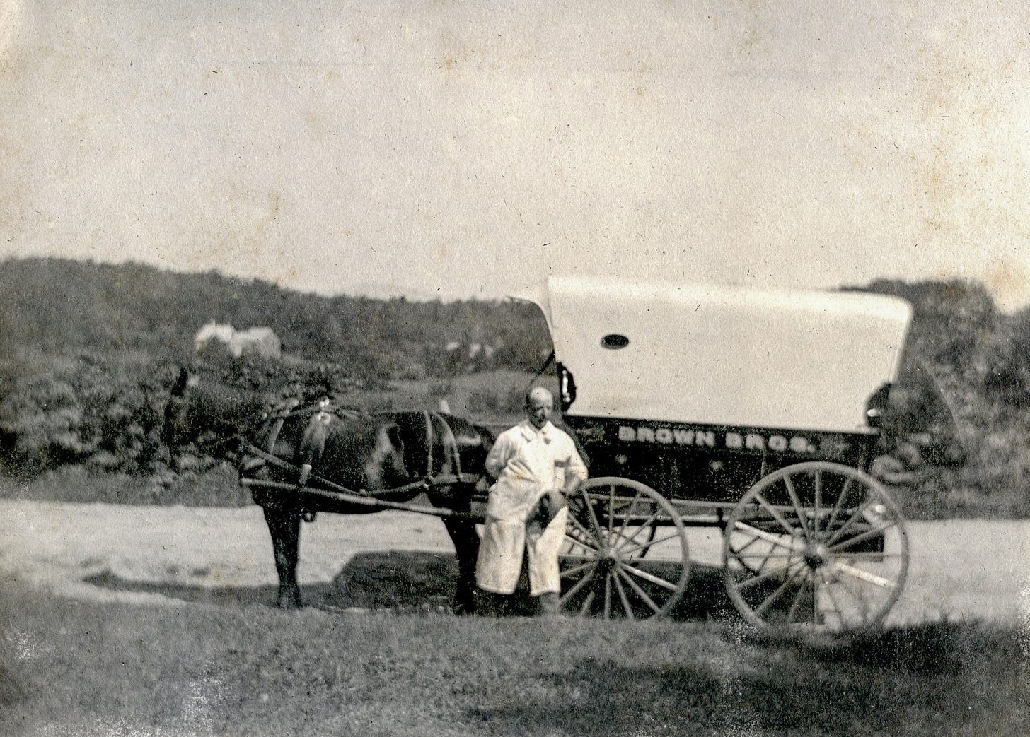 Meat Cart