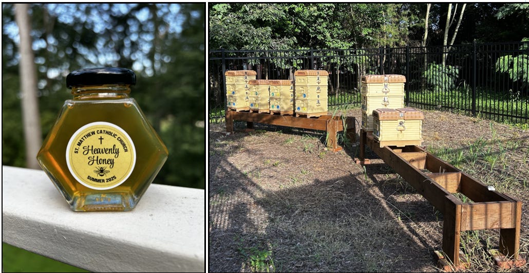 A bottle of honey next to boxes of honey

AI-generated content may be incorrect.