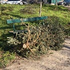 What a Discarded Christmas Tree Taught Me About Our Severed Relationship with the Earth