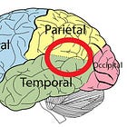 How do Lonely Brains Differ from Wise Brains?