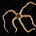 Nilay Conraud's avatar