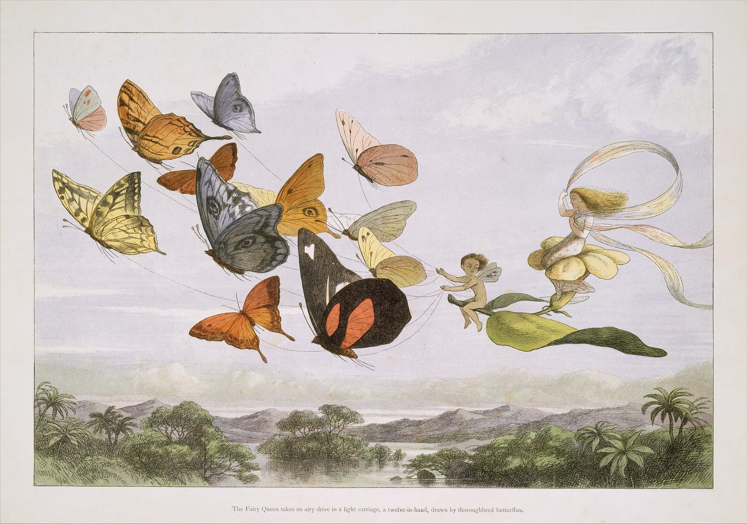 A Series of Pictures from the Elf-World by Richard Doyle. A Series of Pictures from the Elf-World by Richard Doyle.