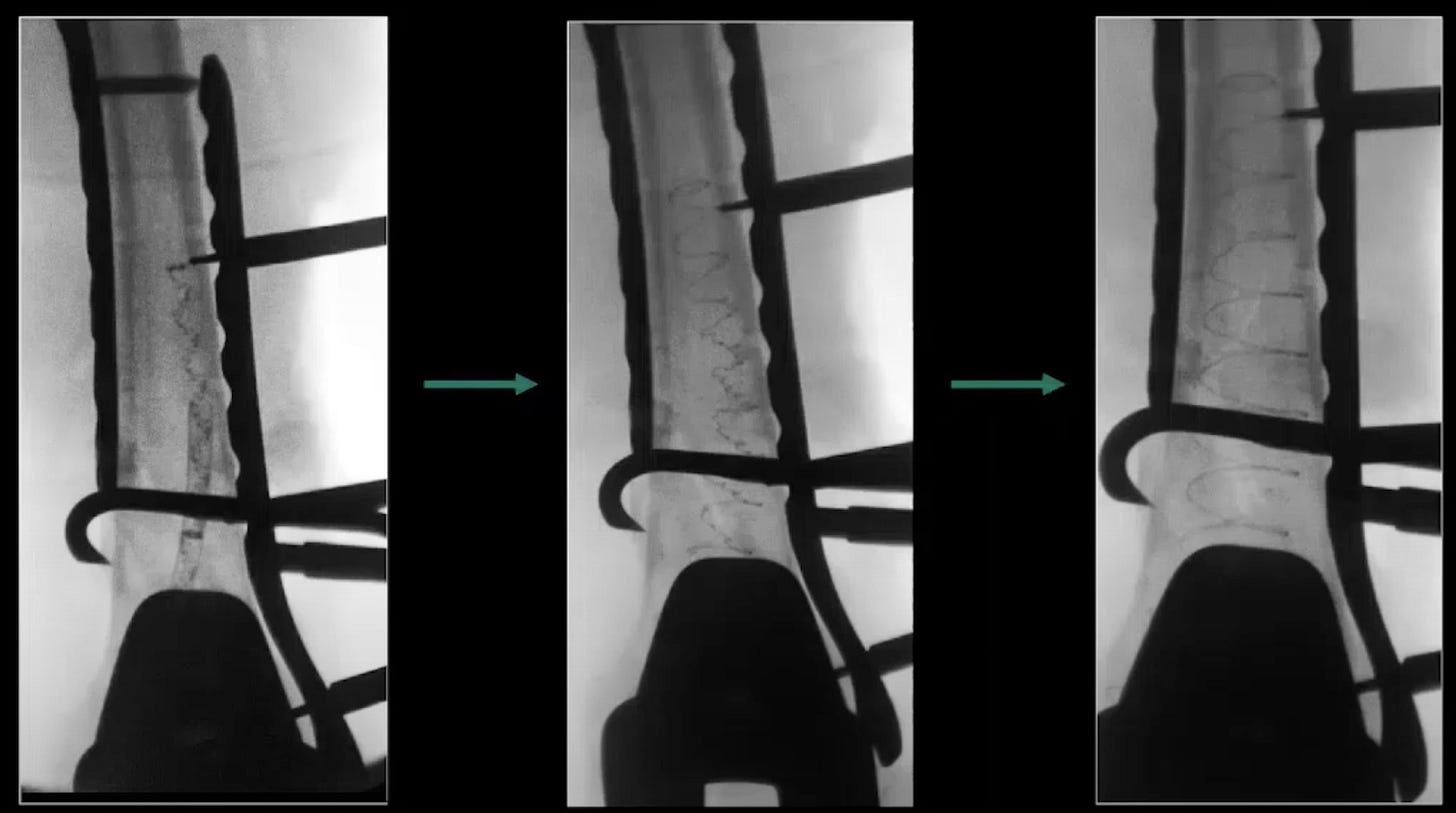 A close-up of a knife
AI-generated content may be incorrect. A close-up of a knife
AI-generated content may be incorrect.