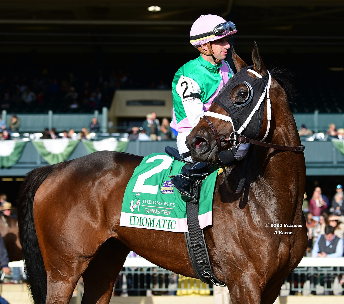 Champion older dirt female Idiomatic after winning the Grade 1 Juddmonte Spinster at Keeneland last year. Champion older dirt female Idiomatic after winning the Grade 1 Juddmonte Spinster at Keeneland last year.