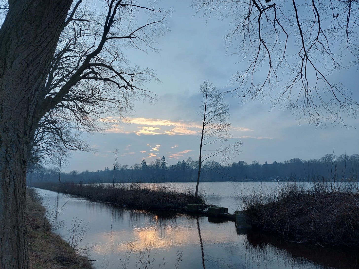 View over Lake Rantzau at dusk, cloudy, leafless trees, reflection on the water