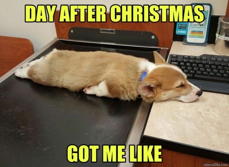 The Funniest After Christmas Memes That Will Bring You Back Down To Earth - Funny The Funniest After Christmas Memes That Will Bring You Back Down To Earth - Funny
