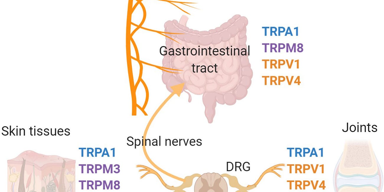 Pain from Covid19 Jabs is caused by Endotoxin