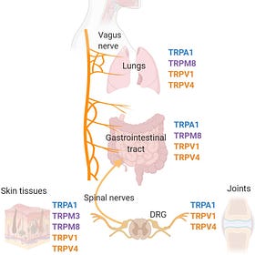 Pain from Covid19 Jabs is caused by Endotoxin