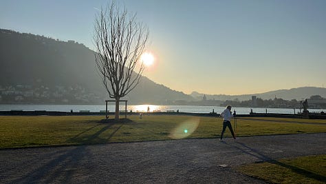 Top L-R: new elm and morning sun at Villa Olmo, sunbeam through west window, central Como blue sky, tarocco oranges in the wild, palm tree shadow show-off, mimosa flowers for women's day, tourist season starts with a shock and bang, more mimosa 🌼 more celebrating women, traghetto and sapphire waters