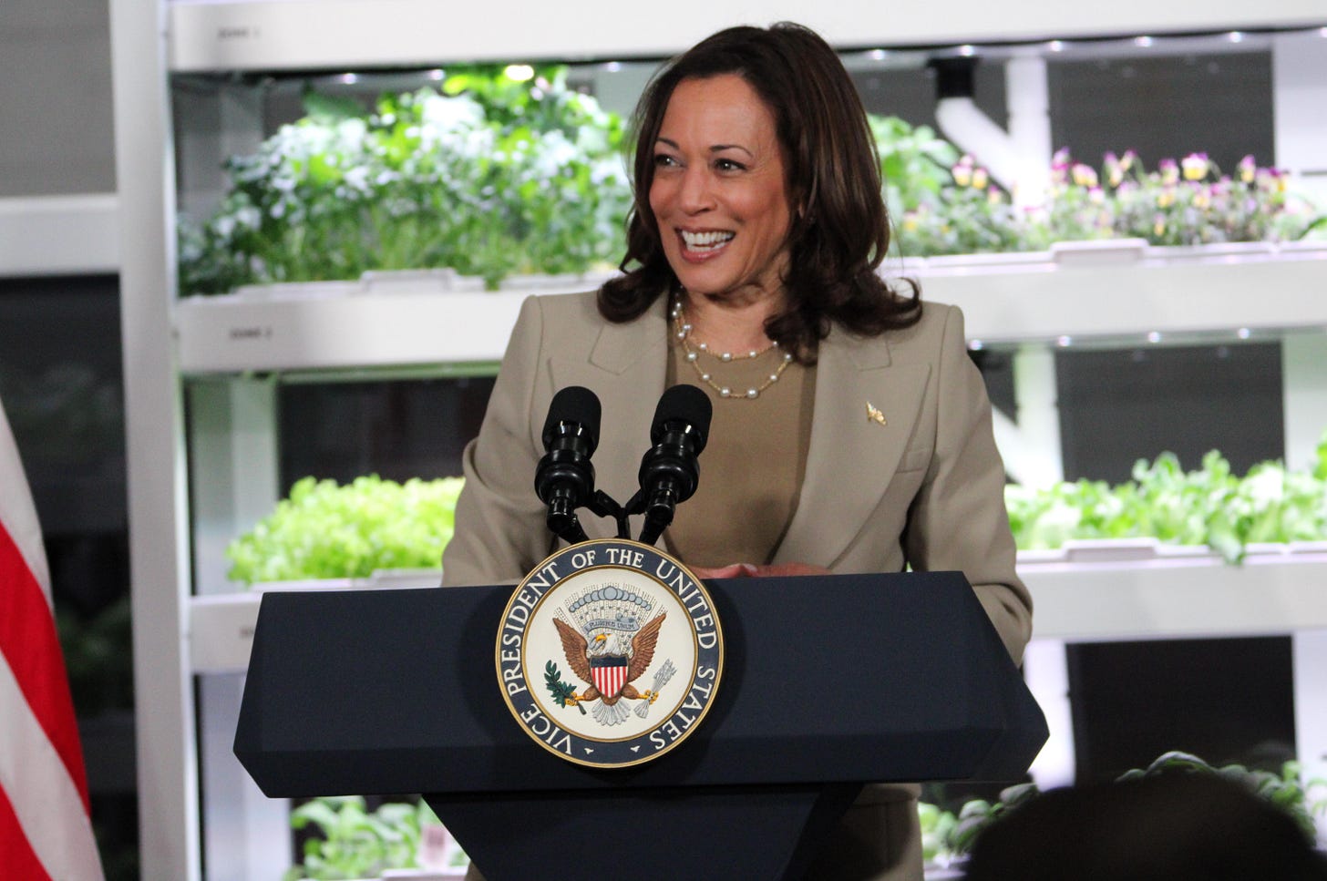 Kamala Harris