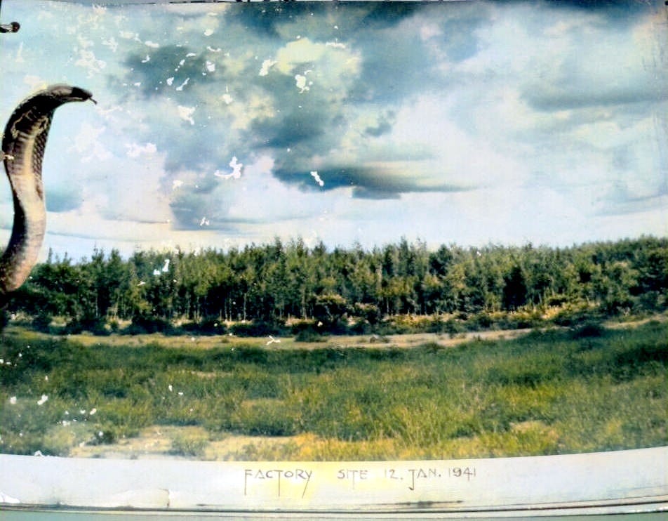 No photo description available.