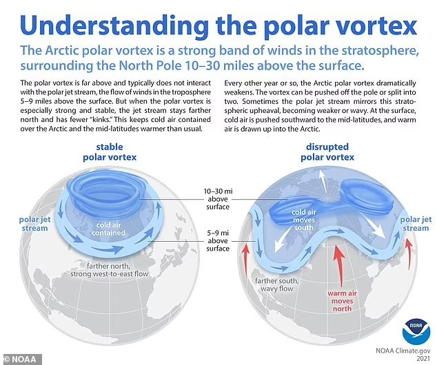 No photo description available.
