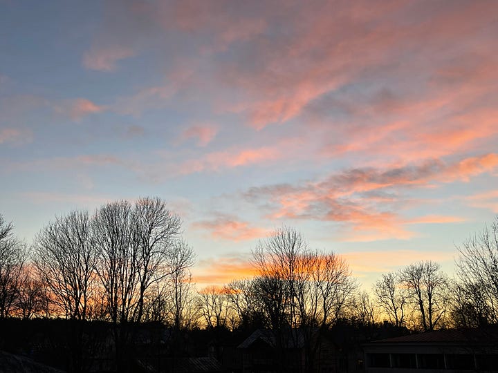 four images of the sky with the tops of trees in winter - pink sky, yellow sky, blue sky with wispy clouds, and blue with pink clouds