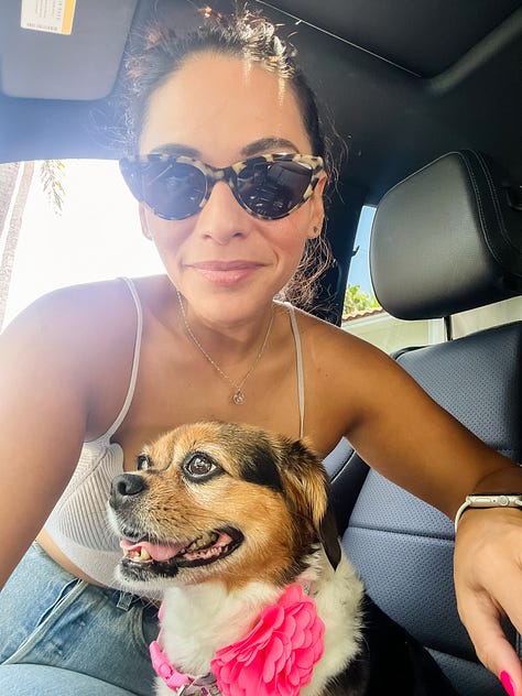 Photo of two women with a mountain landscape in the background; selfie photo of two women and a dog in a car; Selfie photo of woman with a dog sitting in a car; selfie photo of a family of four adults: brother and sister, and mom and dad; photo of two hands in shape of a heart in foreground and a mixing bowl with banana bread mix behind and below it; a baked banana bread in a glass loaf pan atop a stove; a photo of a carrot cake with glazed frosting and chopped pecans sprinkled on top; photo of a garden plot of blossoming flowers and vegetables and a placard in front that reads 'community garden'; photo of dog on couch curled up next to photographer's legs.