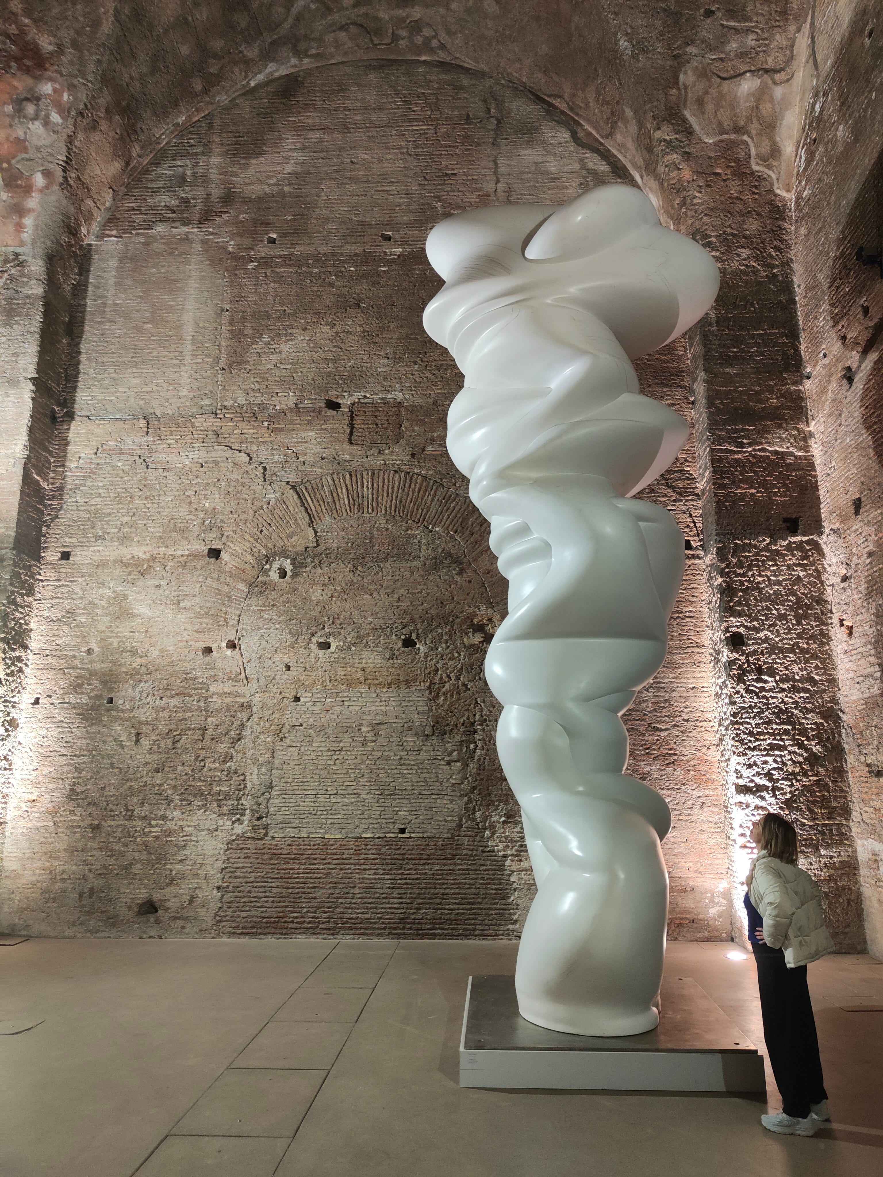 Art Snap-shot: Tony Cragg takes a deep dive into the Diocletian Baths.