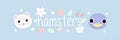 The Hamster Ball