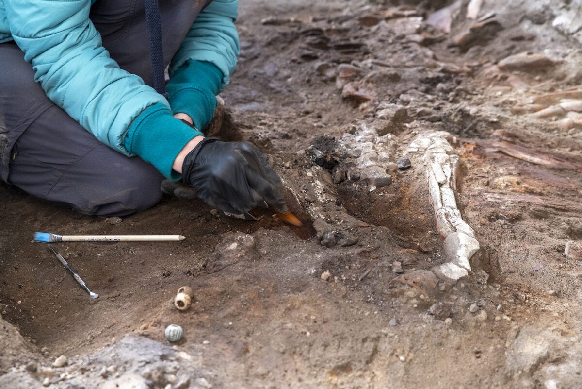 Two Equids Discovered in Pompeii Bakery Two Equids Discovered in Pompeii Bakery