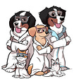 The Pupdate Newsletter's avatar