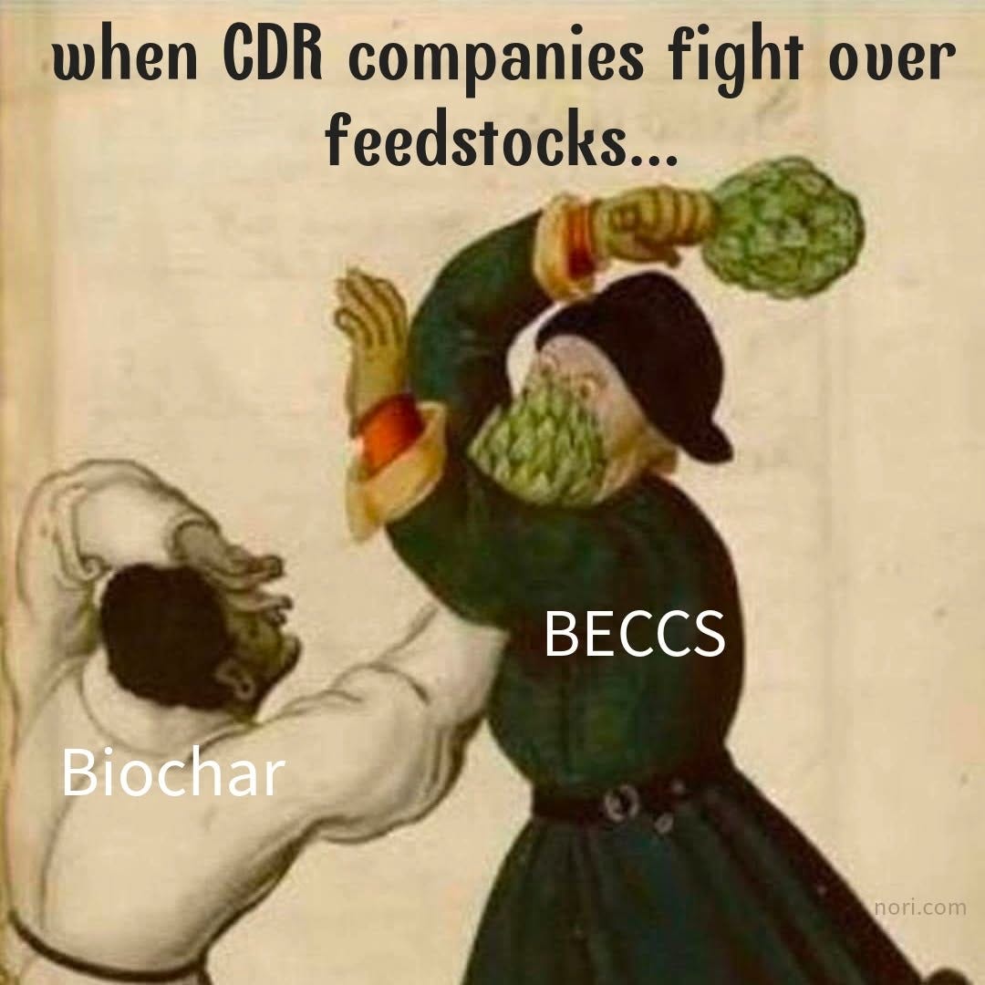 A medieval illustration of one figure hitting another with an artichoke, under the heading "when CDR companies fight over feedstocks...". The attacker is labelled "BECCS", the victim "Biochar".