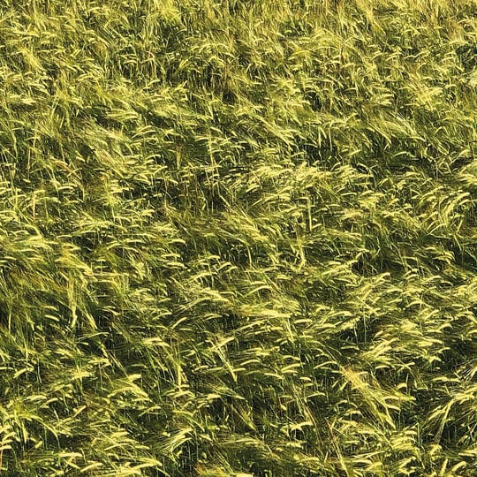 ITLP09 - Pool | Skee Mask | ILIAN TAPE