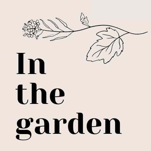 In the Garden with Bailey Van Tassel 