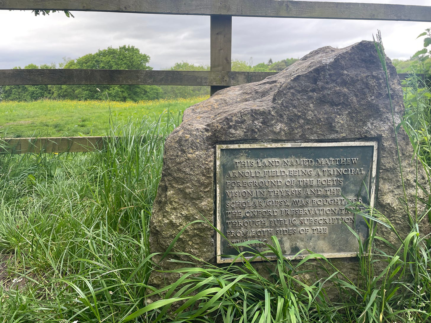 A sign on a rock by a fence, naming Matthew Arnold's Field