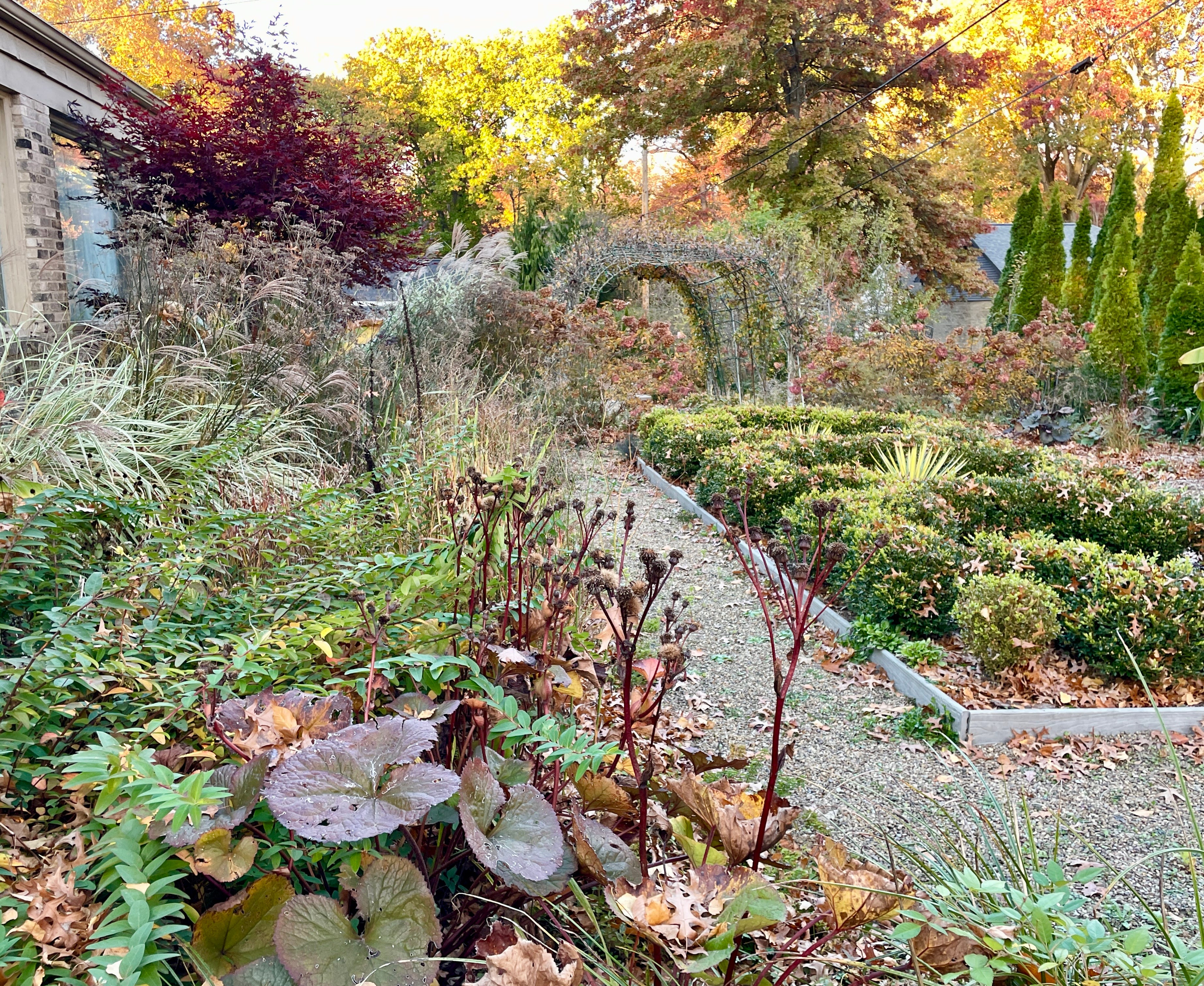 The Hot Border - Julie Witmer Gardens Newsletter