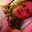 Elly Kace's avatar