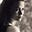 Rachel Mills's avatar
