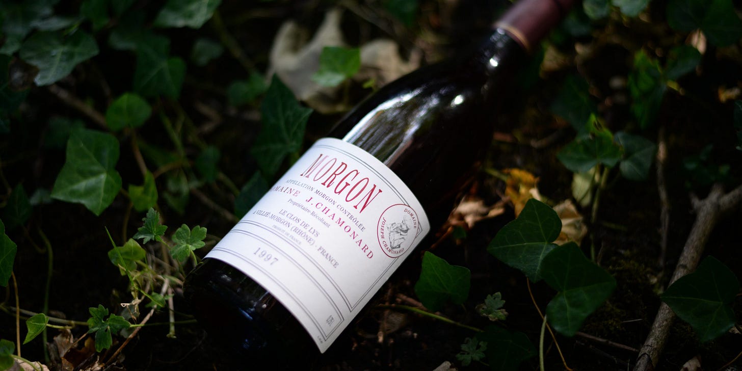 Domaine Chamonard - Morgon 1997 © Taka Takeuchi Domaine Chamonard - Morgon 1997 © Taka Takeuchi