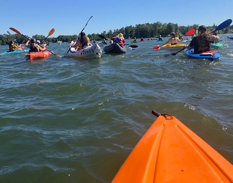 Colorful kayaks in rivers and lakes