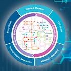 Kynurenine Pathway and SARS-CoV-2