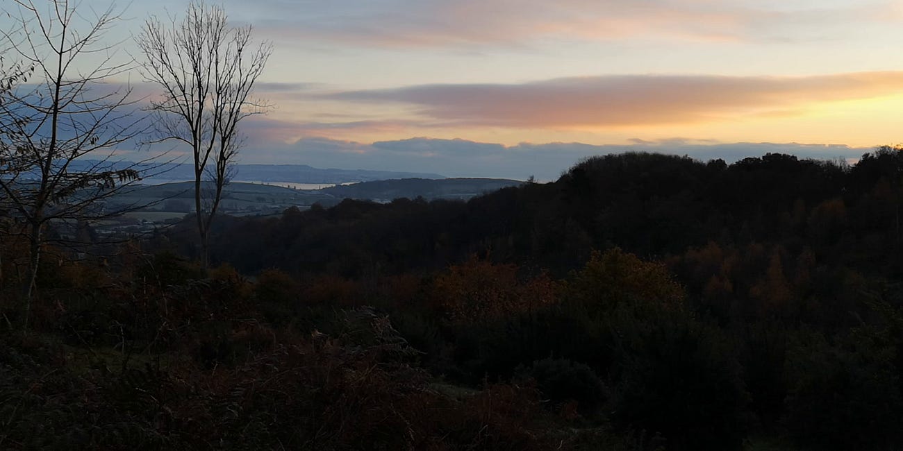 A Winter Walk on the Wild Side - Part 1