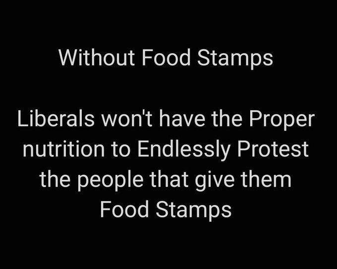 Black background with white text reading Without Food Stamps at the top, followed by Liberals wont have the Proper nutrition to Endlessly Protest the people that give them Food Stamps, and Food Stamps at the bottom.
