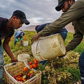 Jordan's Foreign Labor Ban: Economic Restructuring or Political Control?