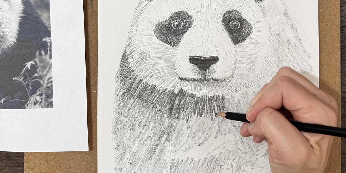 detailed panda drawing
